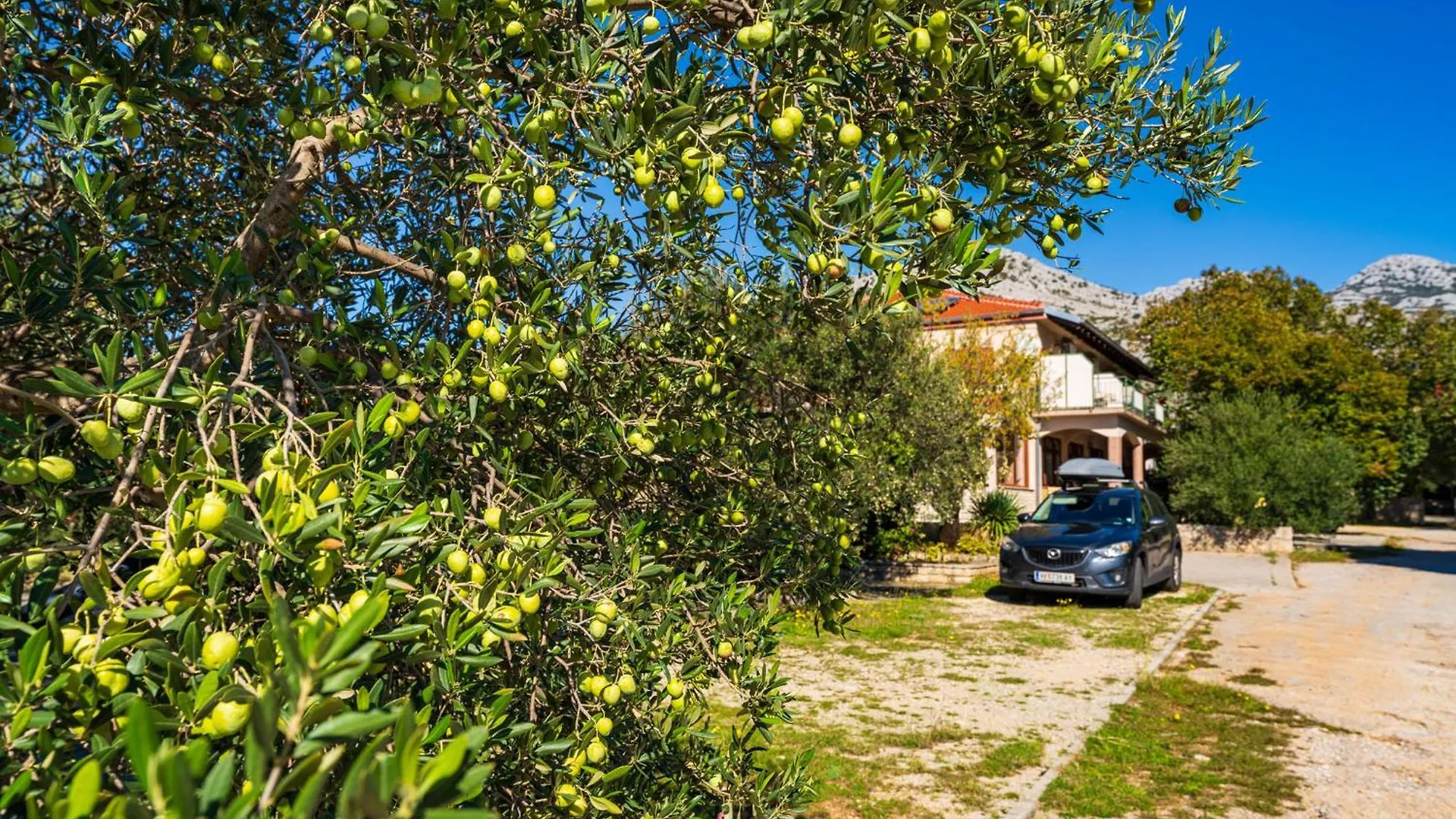 Apartments And Room Adriana Starigrad Paklenica